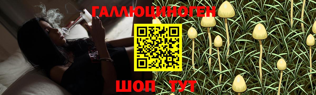Псилоцибиновые грибы Psilocybe  Галлюциногенные грибы MAGIC MUSHROOMS  Вход с VPN  Дубна 