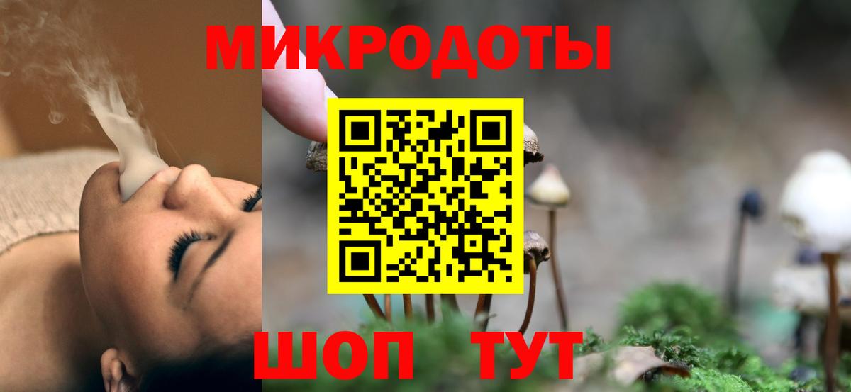 Галлюциногенные грибы Cubensis Дубна
